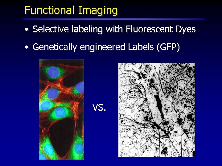 Functional Imaging • Selective labeling with Fluorescent Dyes • Genetically engineered Labels (GFP) VS.