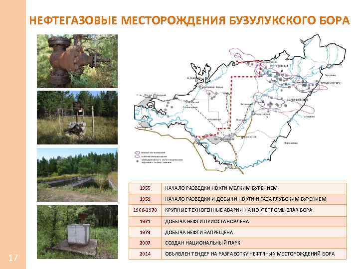НЕФТЕГАЗОВЫЕ МЕСТОРОЖДЕНИЯ БУЗУЛУКСКОГО БОРА 1955 НАЧАЛО РАЗВЕДКИ НЕФТИ МЕЛКИМ БУРЕНИЕМ 1959 НАЧАЛО РАЗВЕДКИ И