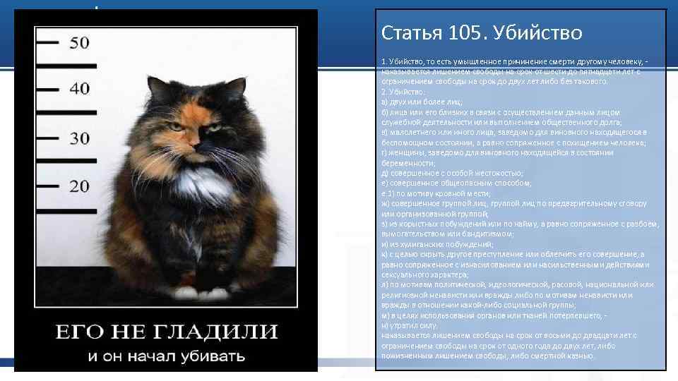 Статья 105. Убийство 1. Убийство, то есть умышленное причинение смерти другому человеку, наказывается лишением