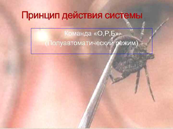 Принцип действия системы Команда «О, Р, Б» (Полуавтоматический режим) 