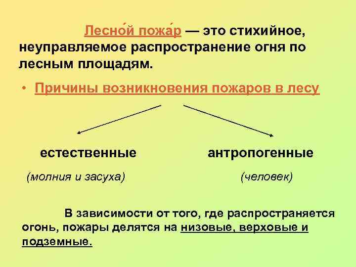  Лесно й пожа р — это стихийное, неуправляемое распространение огня по лесным площадям.