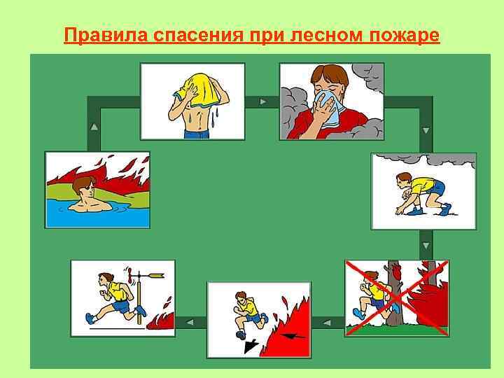 Правила спасения при лесном пожаре 