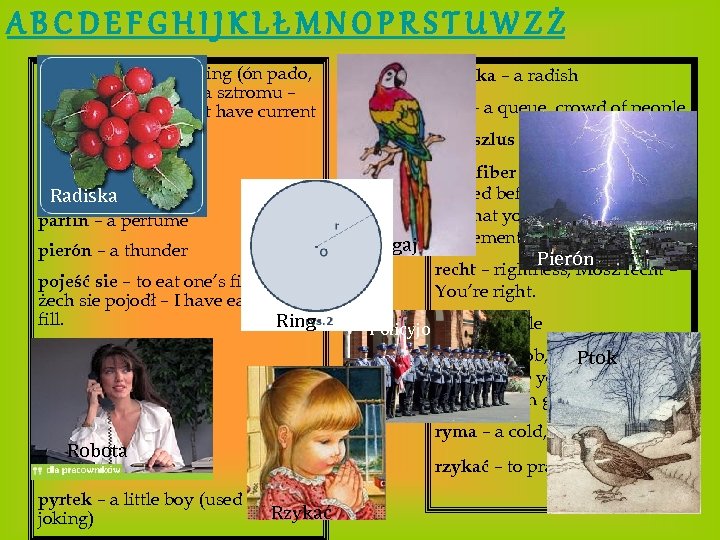 ABCDEFGHIJKLŁMNOPRSTUWZŻ padać- to say something (ón pado, że niy momy w doma sztromu –