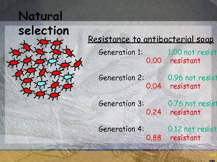 Natural selection Resistance to antibacterial soap Generation 1: 1. 00 not resist 0. 00