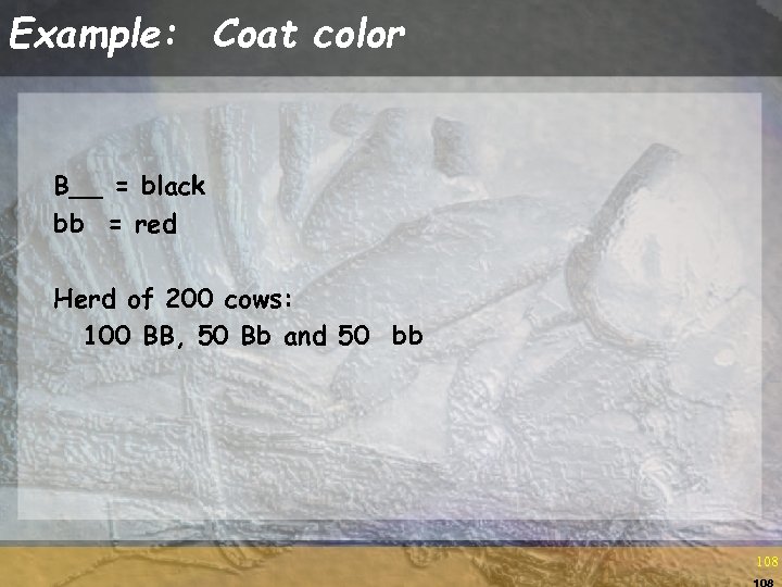 Example: Coat color B__ = black bb = red Herd of 200 cows: 100
