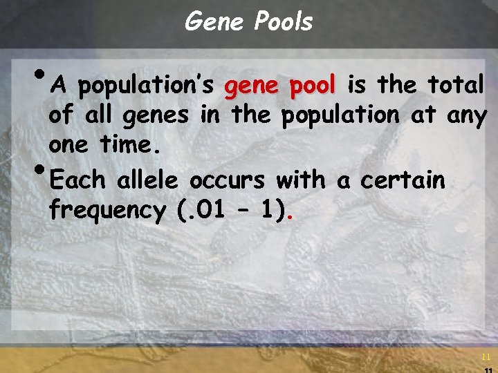 Gene Pools • A population’s gene pool is the total of all genes in