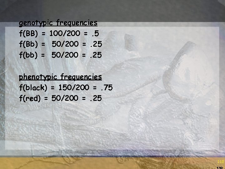 genotypic frequencies f(BB) = 100/200 =. 5 f(Bb) = 50/200 =. 25 f(bb) =