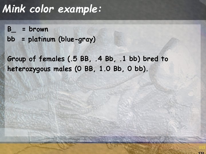 Mink color example: B_ = brown bb = platinum (blue-gray) Group of females (.