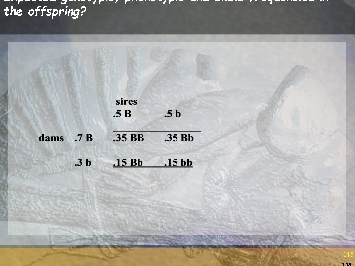 Expected genotypic, phenotypic and allele frequencies in the offspring? 115 