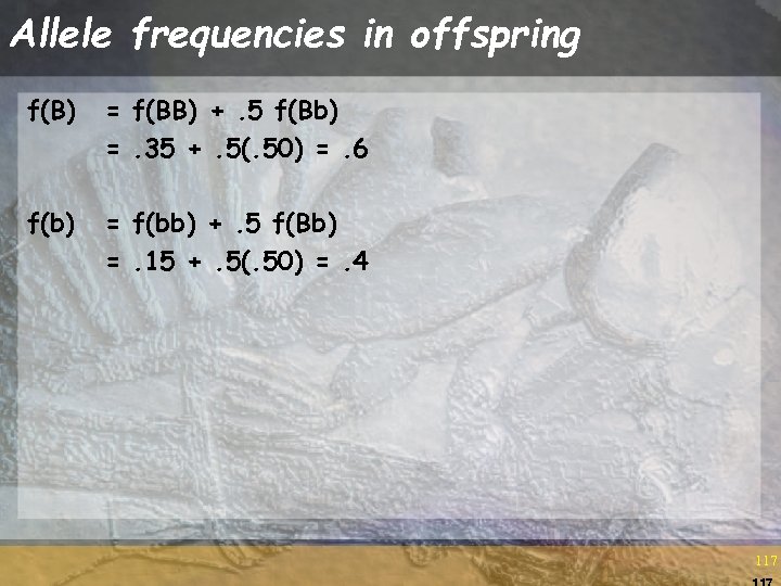 Allele frequencies in offspring f(B) = f(BB) +. 5 f(Bb) =. 35 +. 5(.
