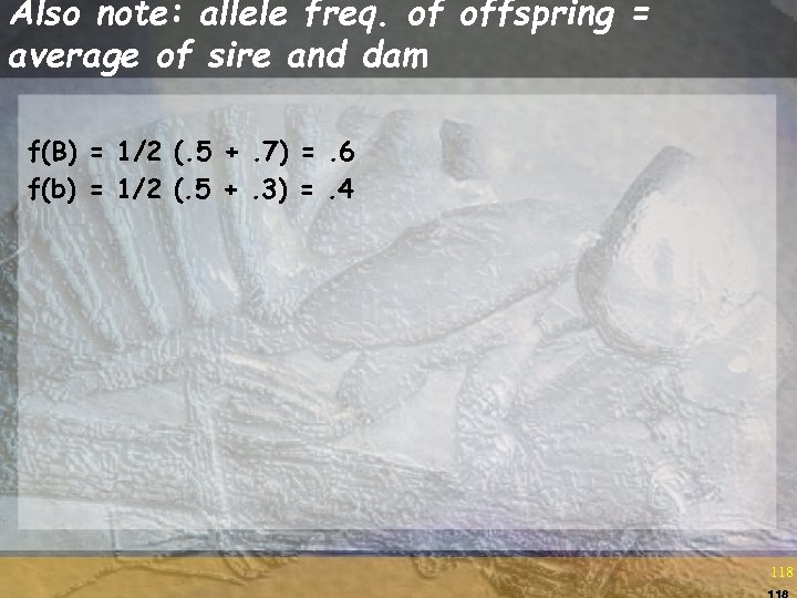 Also note: allele freq. of offspring = average of sire and dam f(B) =
