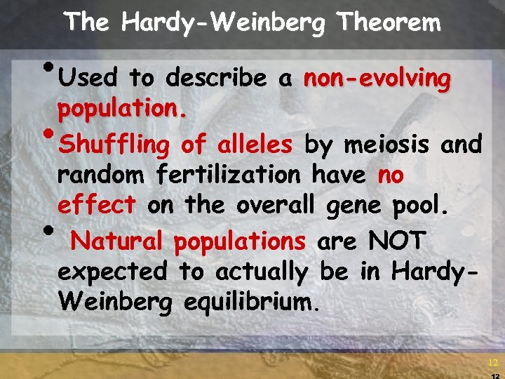 The Hardy-Weinberg Theorem • Used to describe a non-evolving population. • Shuffling of alleles