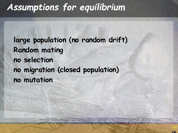 Assumptions for equilibrium large population (no random drift) Random mating no selection no migration