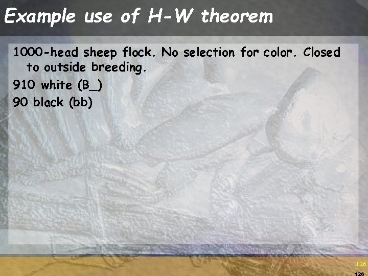 Example use of H-W theorem 1000 -head sheep flock. No selection for color. Closed