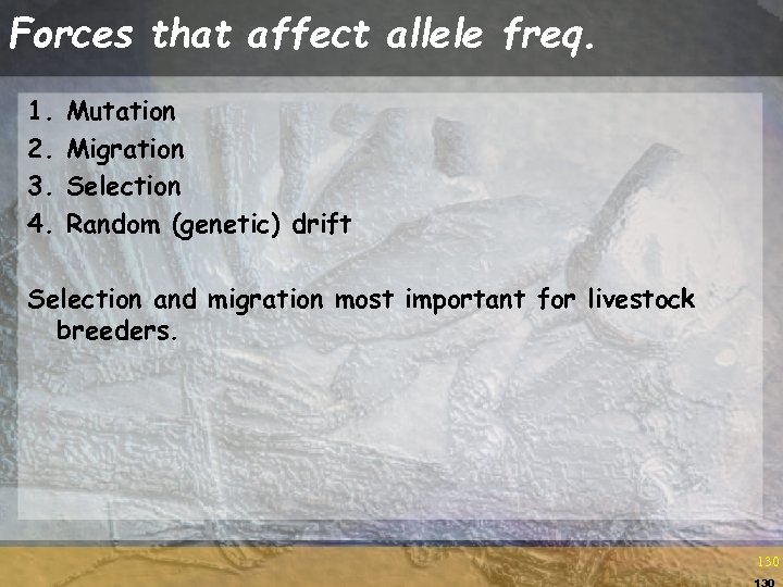 Forces that affect allele freq. 1. 2. 3. 4. Mutation Migration Selection Random (genetic)