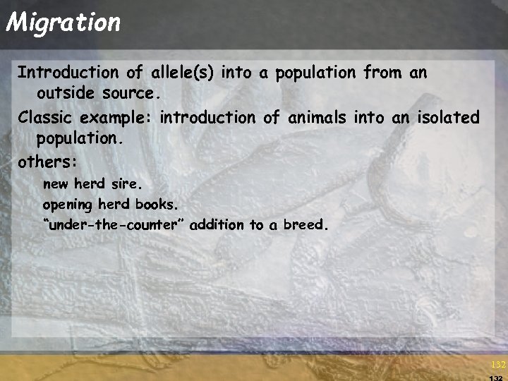 Migration Introduction of allele(s) into a population from an outside source. Classic example: introduction