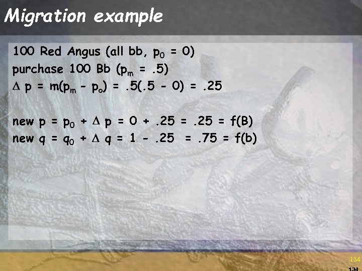 Migration example 100 Red Angus (all bb, p 0 = 0) purchase 100 Bb