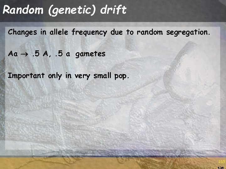 Random (genetic) drift Changes in allele frequency due to random segregation. Aa . 5
