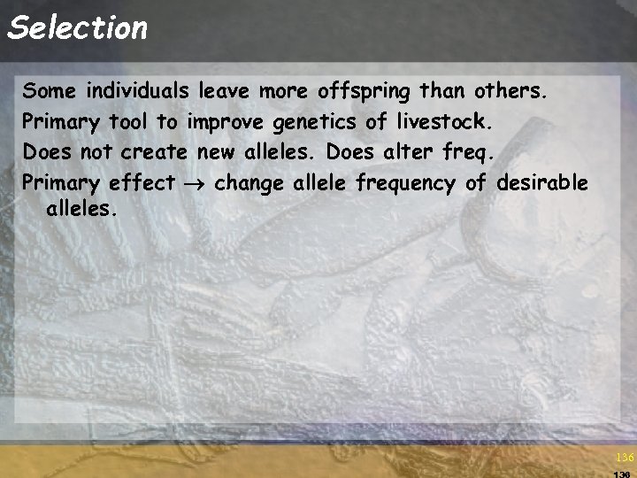Selection Some individuals leave more offspring than others. Primary tool to improve genetics of