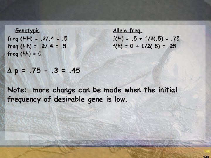 Genotypic freq (HH) =. 2/. 4 =. 5 freq (Hh) =. 2/. 4 =.