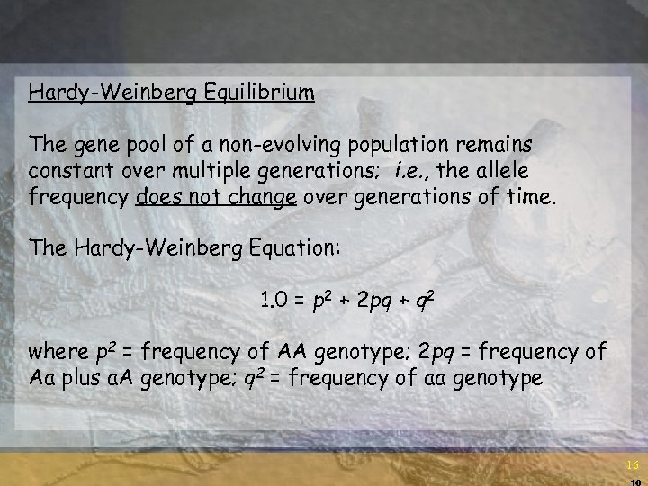 Hardy-Weinberg Equilibrium The gene pool of a non-evolving population remains constant over multiple generations;