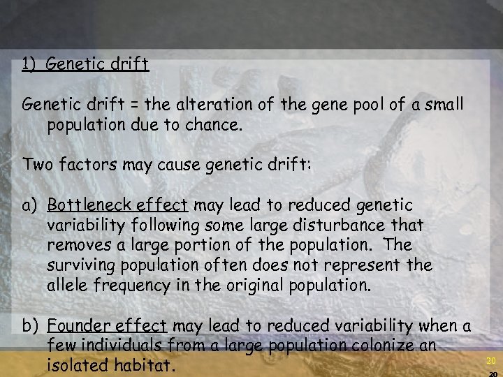 1) Genetic drift = the alteration of the gene pool of a small population
