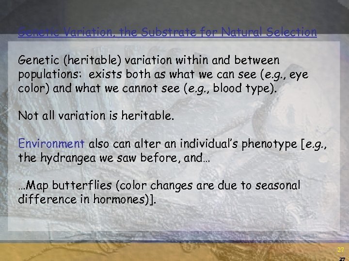 Genetic Variation, the Substrate for Natural Selection Genetic (heritable) variation within and between populations:
