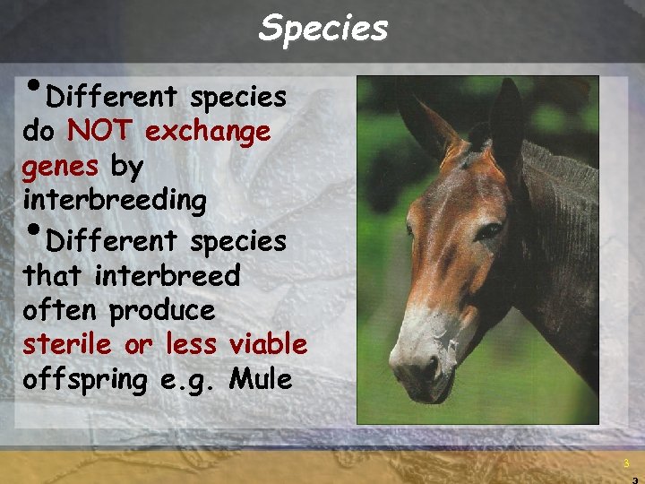 Species • Different species do NOT exchange genes by interbreeding Different species that interbreed