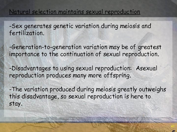 Natural selection maintains sexual reproduction -Sex generates genetic variation during meiosis and fertilization. -Generation-to-generation