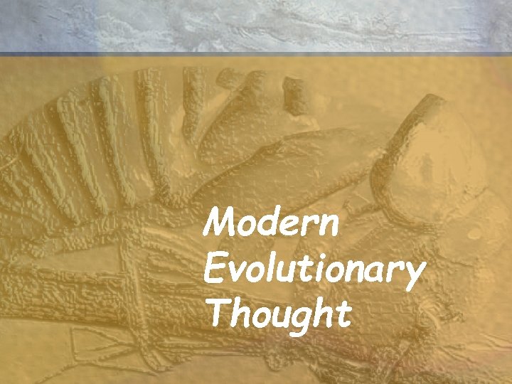 Modern Evolutionary Thought 