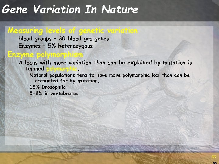 Gene Variation In Nature Measuring levels of genetic variation blood groups – 30 blood
