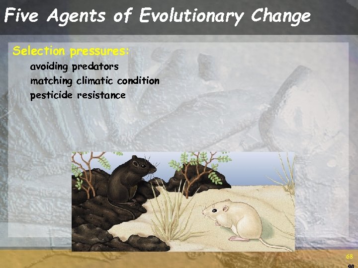 Five Agents of Evolutionary Change Selection pressures: avoiding predators matching climatic condition pesticide resistance