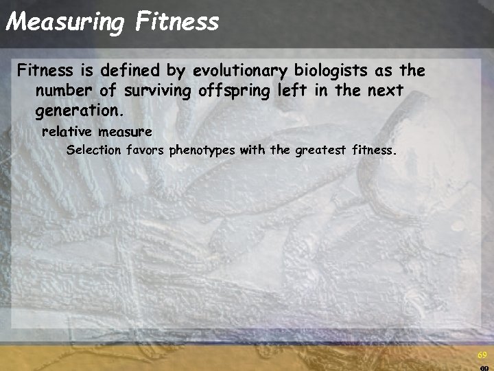 Measuring Fitness is defined by evolutionary biologists as the number of surviving offspring left