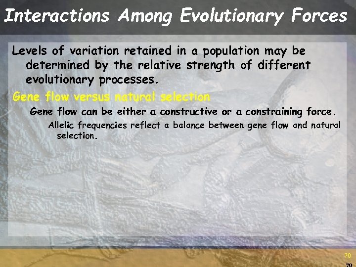 Interactions Among Evolutionary Forces Levels of variation retained in a population may be determined