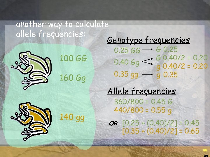 another way to calculate allele frequencies: Genotype frequencies 100 GG 160 Gg 0. 25
