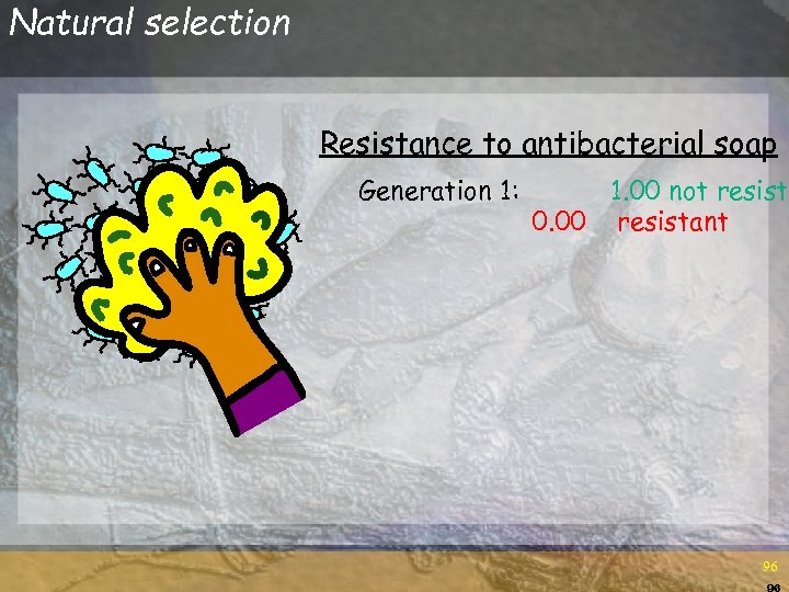 Natural selection Resistance to antibacterial soap Generation 1: 1. 00 not resista 0. 00