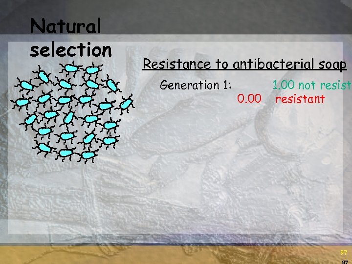 Natural selection Resistance to antibacterial soap Generation 1: 1. 00 not resista 0. 00