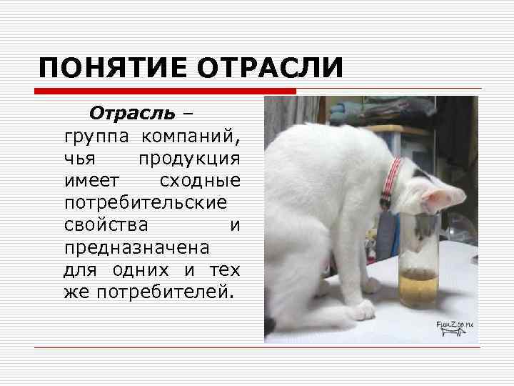 ПОНЯТИЕ ОТРАСЛИ Отрасль – группа компаний, чья продукция имеет сходные потребительские свойства и предназначена