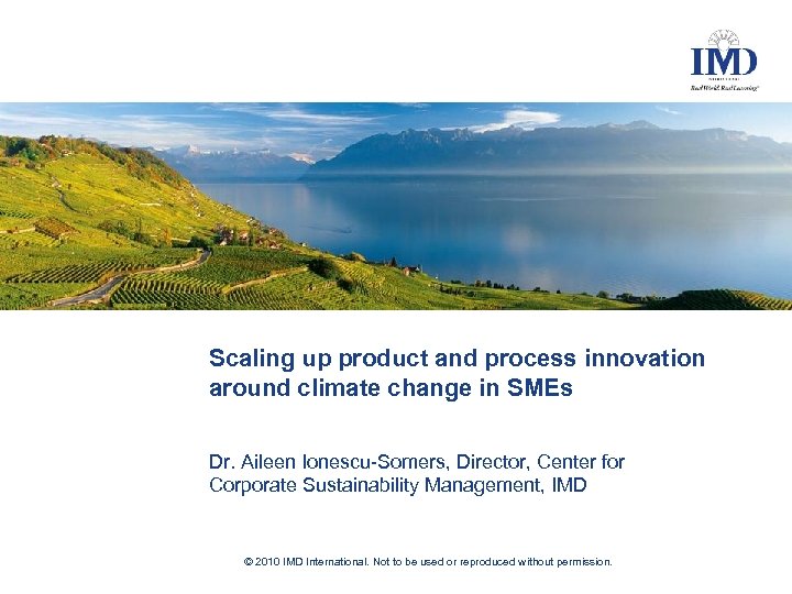 Scaling up product and process innovation around climate change in SMEs Dr. Aileen Ionescu-Somers,