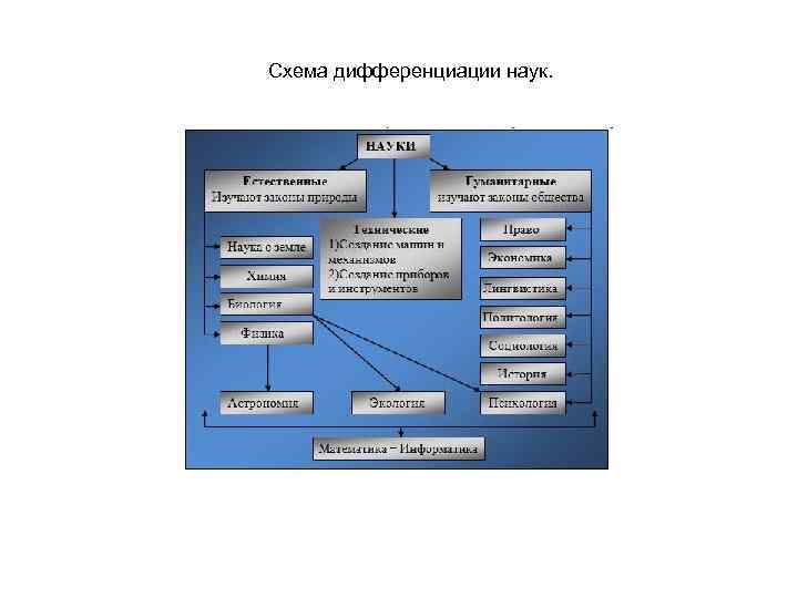 Схема дифференциации наук. 