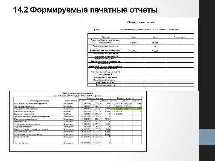 14. 2 Формируемые печатные отчеты 