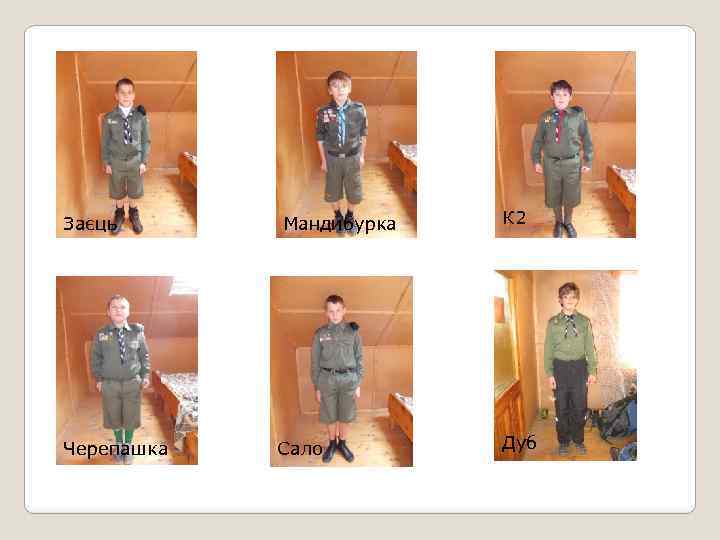 Заєць Черепашка Мандибурка Сало К 2 Дуб 