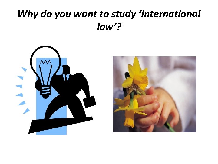 Why do you want to study ‘international law’? 