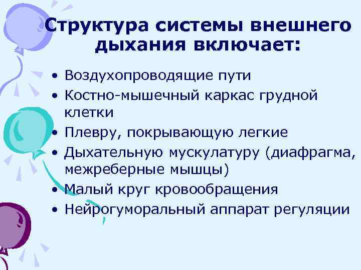 Структура системы внешнего дыхания включает: • Воздухопроводящие пути • Костно-мышечный каркас грудной клетки •