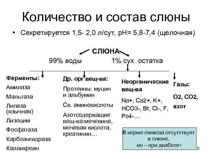 Схема отделения слюны