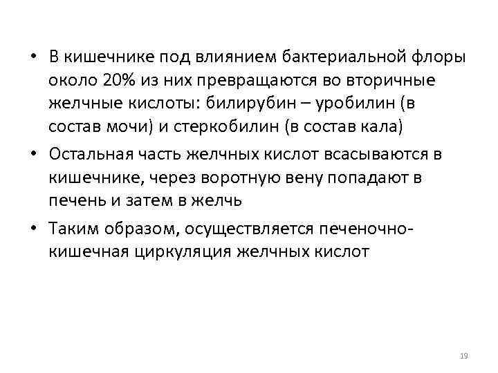  • В кишечнике под влиянием бактериальной флоры около 20% из них превращаются во