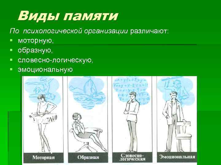 Виды памяти По психологической организации различают: § моторную, § образную, § словесно логическую, §