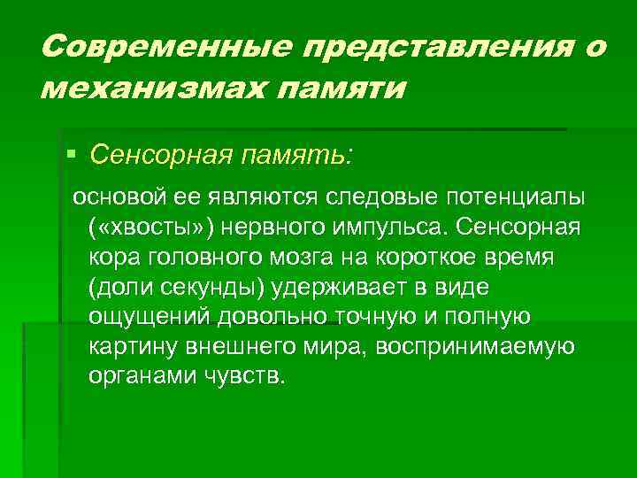 Механизмы памяти. Представления о механизмах памяти. Механизм сенсорной памяти. Современные представления о механизмах. Современные представления о механизмах памяти физиология.