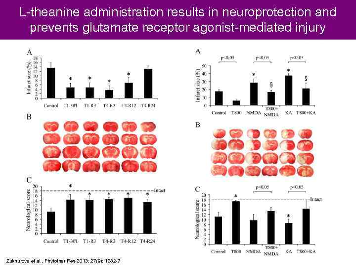 L-theanine administration results in neuroprotection and prevents glutamate receptor agonist-mediated injury Zukhurova et al.