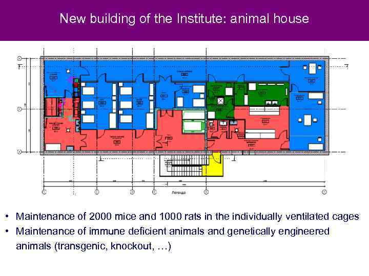 New building of the Institute: animal house • Maintenance of 2000 mice and 1000